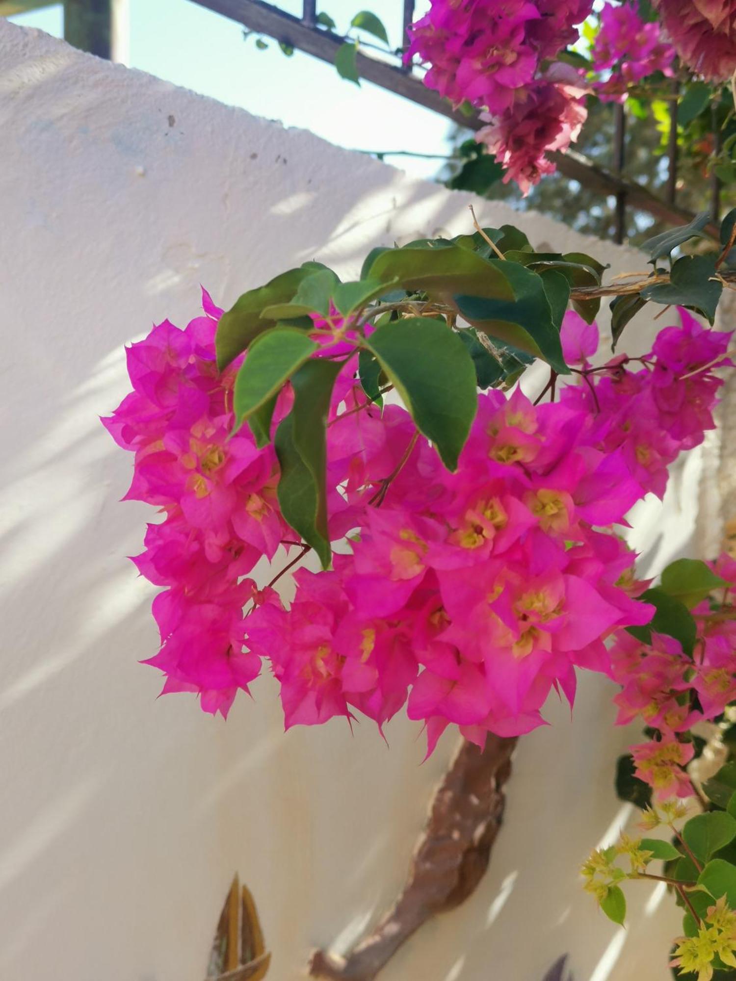 Eden Guesthouse Sardina Exterior foto